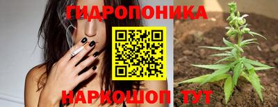 герыч Камышлов