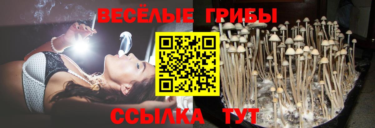 Псилоцибиновые грибы мицелий Мегион